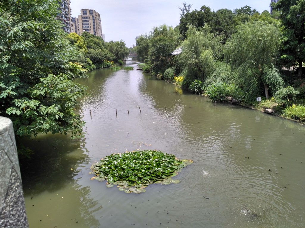 Waterway across the street from the apartment building.