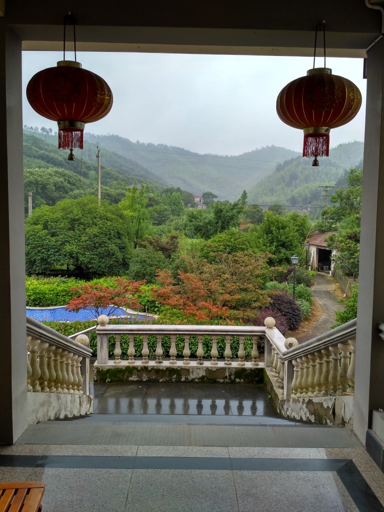 Morning view from the back steps of the house.