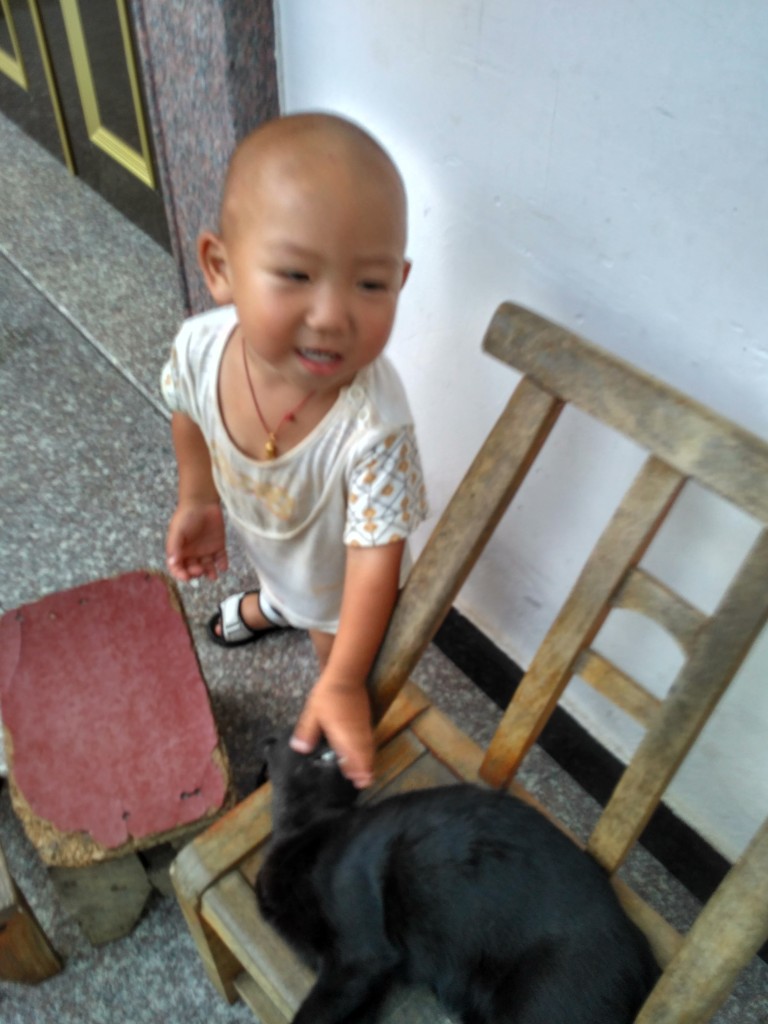 Adorable neighbor trying to play with the surprisingly tolerant cat.