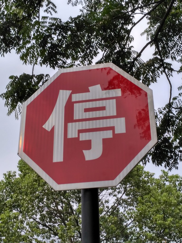 A wild Chinese character appears! You can guess what it means, but you want to make sure and actually learn now to say it.