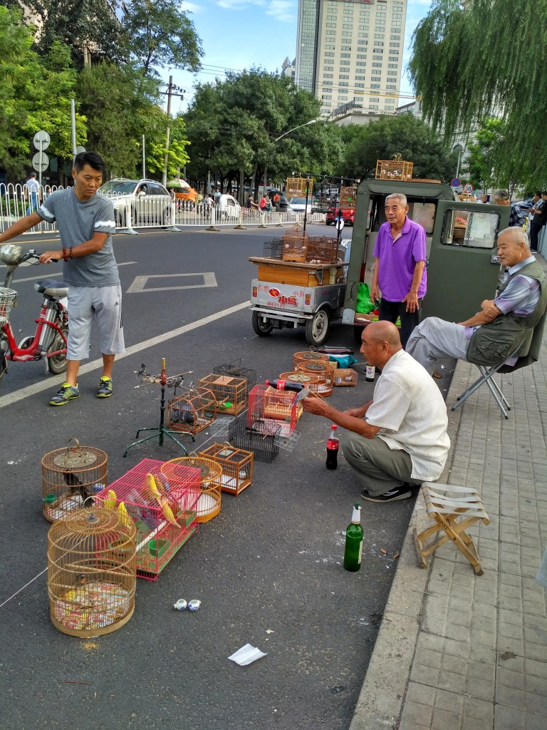 Buy a songbird from this peddler literally set up on the middle of a bridge.