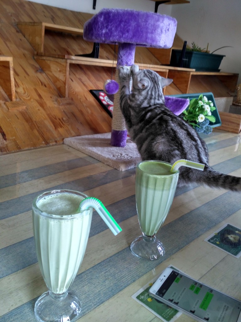 Our over-priced drinks that do at least come with cats included.