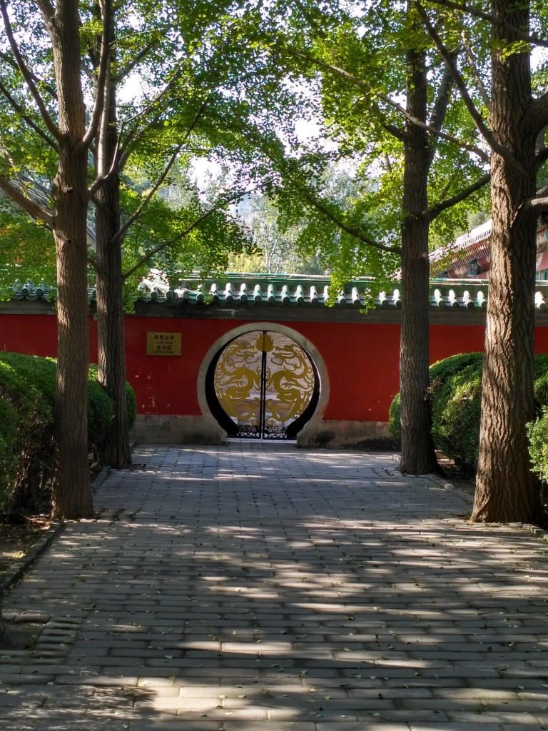 More closed doors, but a chance to admire the dragon gate.